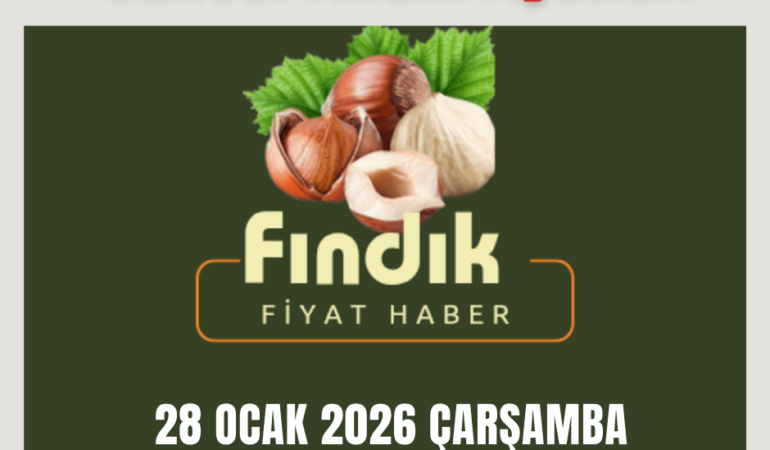 Güncel Fındık Fiyatları