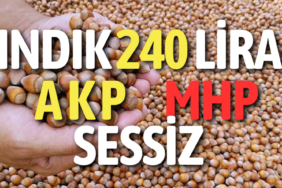 Gazete Bulancak (1)