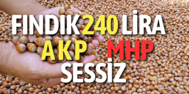 Gazete Bulancak (1)