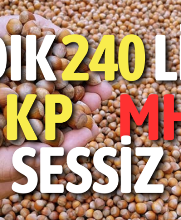 Gazete Bulancak (1)