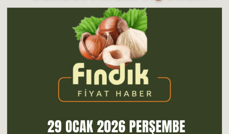 GÜNCEL FINDIK FİYATLARI