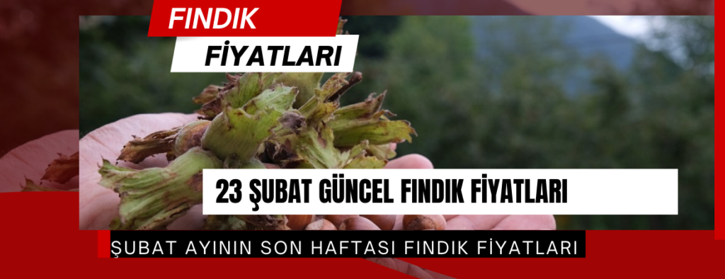 23 Şubat 2026 Pazartesi güncel Fındık Fiyatları
