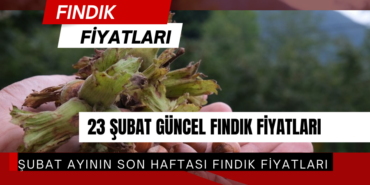 23 Şubat 2026 Pazartesi güncel Fındık Fiyatları