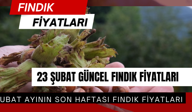 23 Şubat 2026 Pazartesi Güncel Fındık Fiyatları
