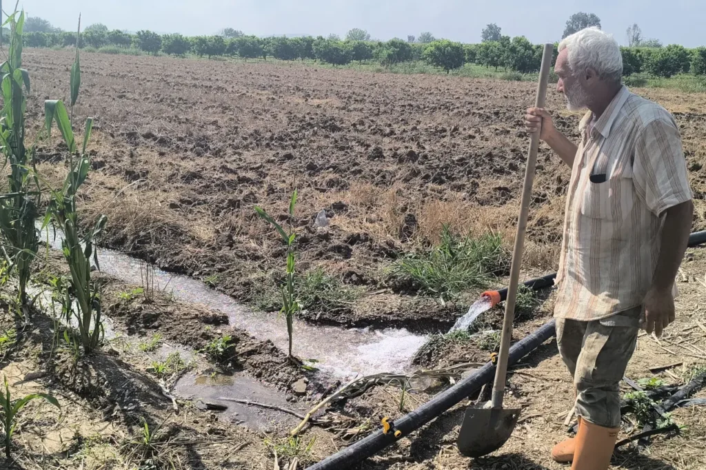 Çiftçi ve Esnaf Kredilerine Yeni Dönem: Hazine Destekli Kredilerde Vergi ve SGK Borcu Şartı Yürürlükte