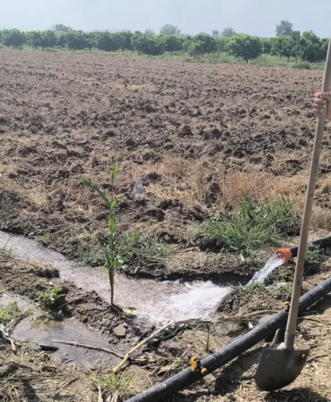 Çiftçi ve Esnaf Kredilerine Yeni Dönem: Hazine Destekli Kredilerde Vergi ve SGK Borcu Şartı Yürürlükte