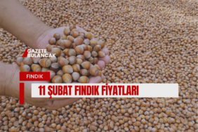 11 ŞUBAT ÇARŞAMBA GÜNCEL FINDIK FİYATLARI