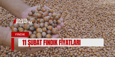 11 ŞUBAT ÇARŞAMBA GÜNCEL FINDIK FİYATLARI