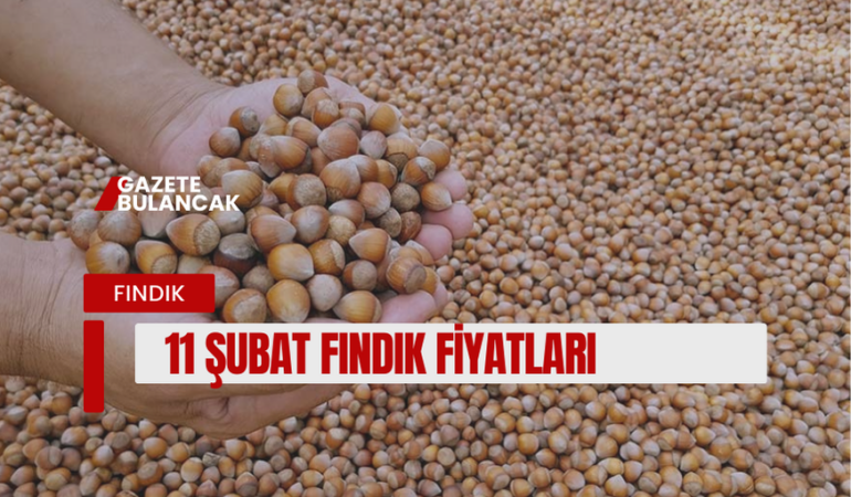 11 ŞUBAT ÇARŞAMBA GÜNCEL FINDIK FİYATLARI