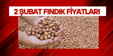 FINDIK FİYAT MANŞ