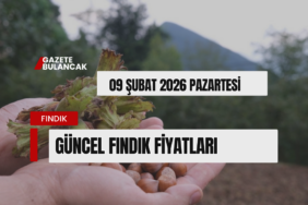 FINDIK