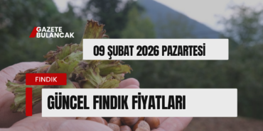 FINDIK