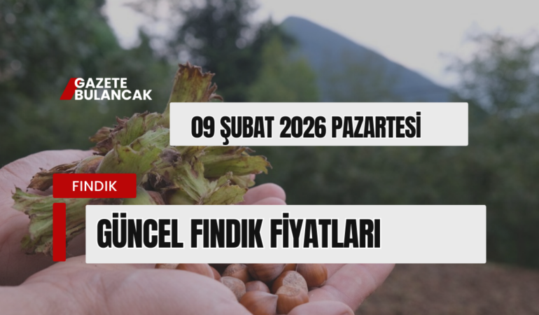 09 ŞUBAT 2026 PAZARTESİ GÜNCEL FINDIK FİYATLARI