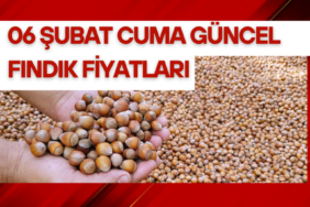 06 Şubat 2026 Cuma Güncel Fındık Fiyatları