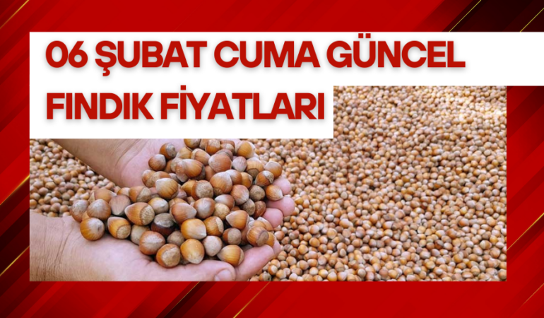 06 Şubat 2026 Cuma Güncel Fındık Fiyatları