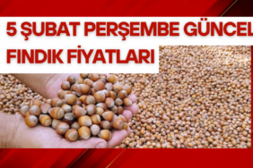 Kırmızı ve Beyaz, Profesyonel ve Modern, Son Dakika Canlı Yayın Haberi Youtube Küçük Resmi