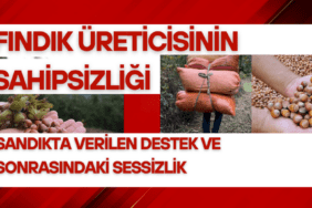 Kırmızı ve Beyaz, Profesyonel ve Modern, Son Dakika Canlı Yayın Haberi Youtube Küçük Resmi (3)