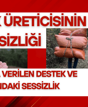 Kırmızı ve Beyaz, Profesyonel ve Modern, Son Dakika Canlı Yayın Haberi Youtube Küçük Resmi (3)