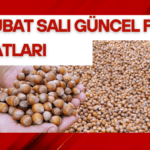 3 Şubat Salı Güncel Fındık Fiyatları