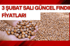 3 Şubat Salı Güncel Fındık Fiyatları