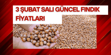 3 Şubat Salı Güncel Fındık Fiyatları
