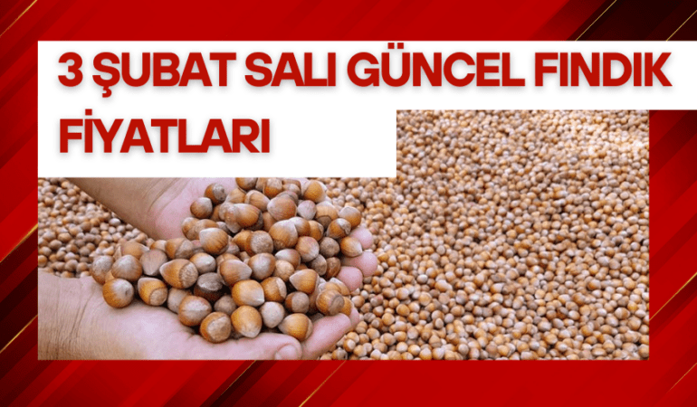 3 Şubat Salı Güncel Fındık Fiyatları