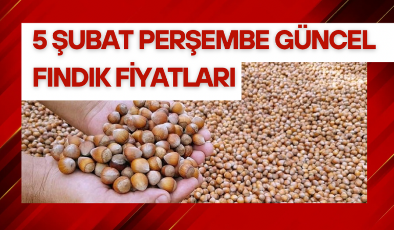 05 Şubat 2026 Perşembe Güncel Fındık Fiyatları