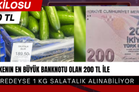 CHP'li Bulut'tan Çarpıcı Tespit: 200 TL ile 1 Kg Salatalık