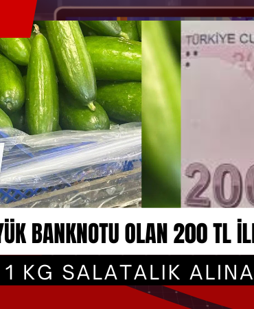 CHP'li Bulut'tan Çarpıcı Tespit: 200 TL ile 1 Kg Salatalık
