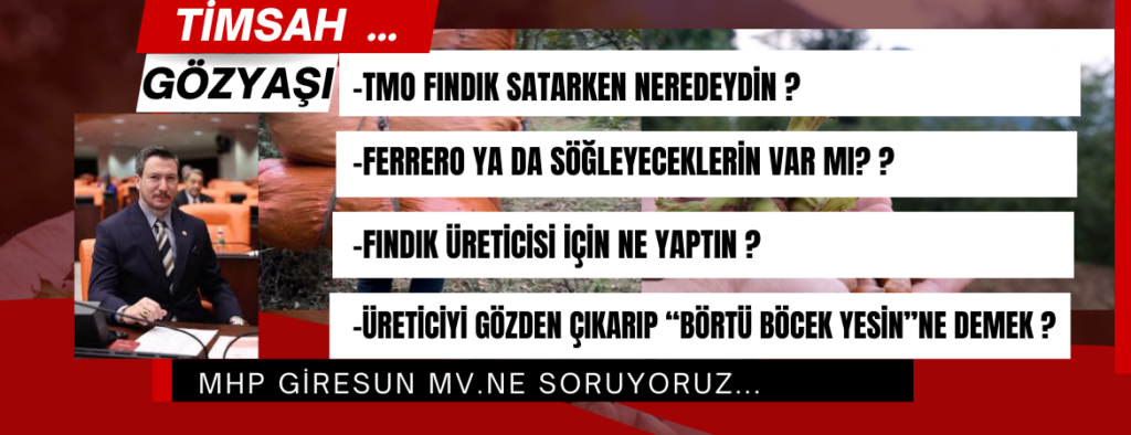 Fındık Üreticisi Söz Değil, İcraat Bekliyor