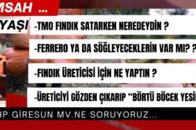 Fındık Üreticisi Söz Değil, İcraat Bekliyor