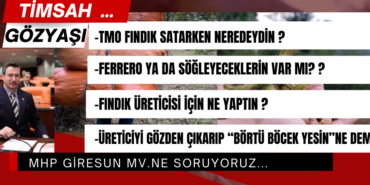 Fındık Üreticisi Söz Değil, İcraat Bekliyor