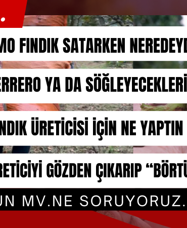 Fındık Üreticisi Söz Değil, İcraat Bekliyor