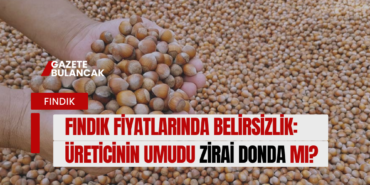 Fındık Fiyatlarında Belirsizlik: Üreticinin Umudu Zirai Donda mı?