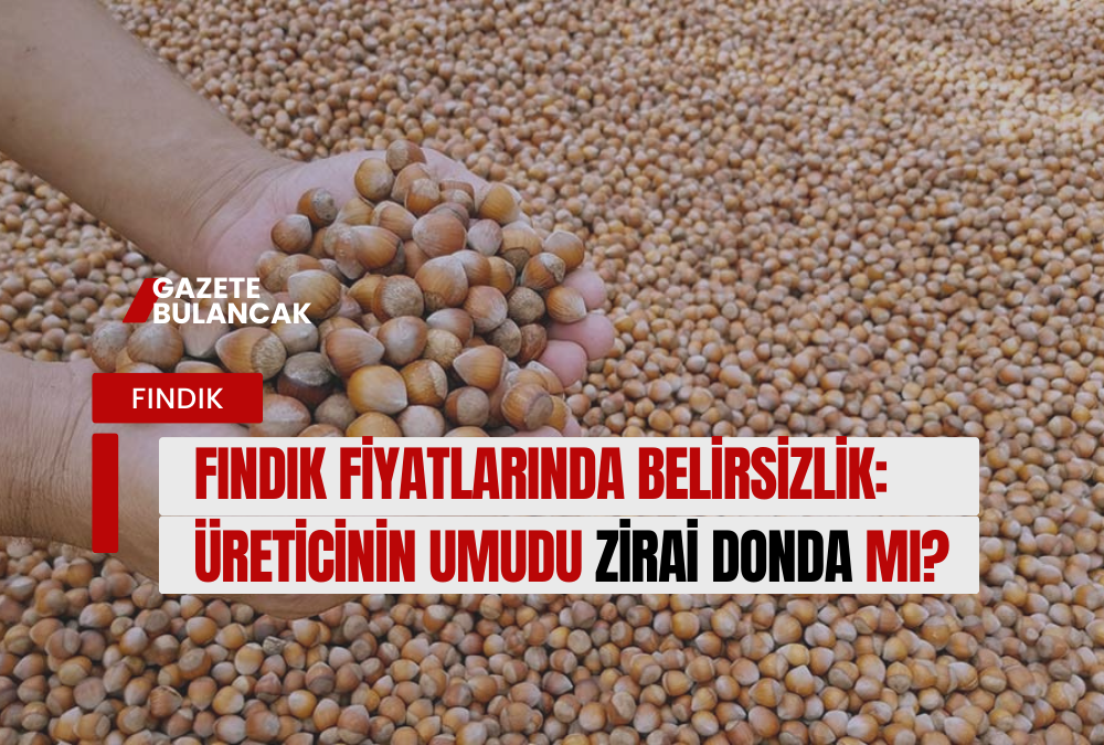 Fındık Fiyatlarında Belirsizlik: Üreticinin Umudu Zirai Donda mı?