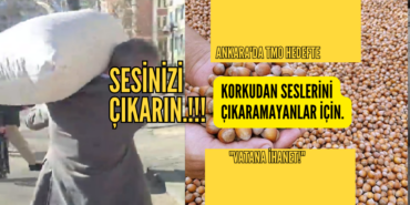 ankara tmo 12