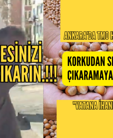 ankara tmo 12