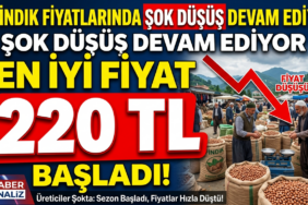 fındık fiyatları
