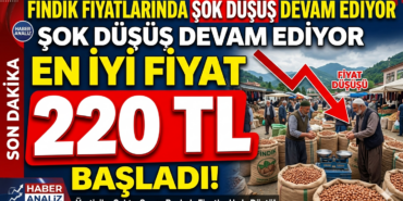 fındık fiyatları