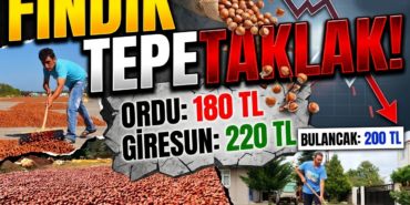 fındık fiyatları
