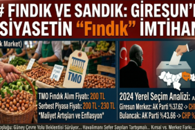 akp fındık