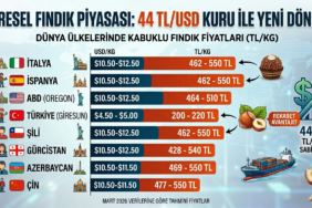 fındık piyasası