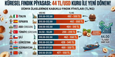 fındık piyasası