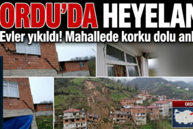 Ordu'da toprak kaydı, evler yıkıldı! Mahallede korku dolu anlar