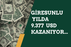Giresun Kişi Başı Gelir Verileri (2024)