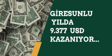 Giresun Kişi Başı Gelir Verileri (2024)