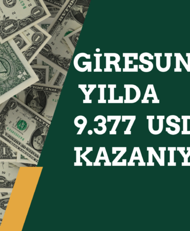 Giresun Kişi Başı Gelir Verileri (2024)