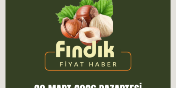 9 MART PAZARTESİ GÜNCEL FINDIK FİYATLARI