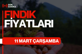GÜNCEL FINDIK FİYATLARI