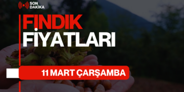 GÜNCEL FINDIK FİYATLARI